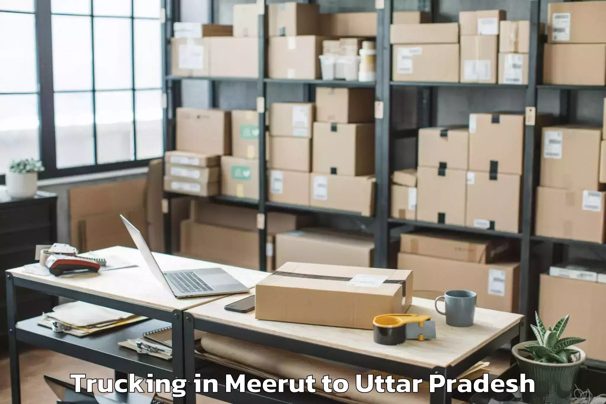 Easy Meerut to Abhilashi University Lucknow Trucking Booking